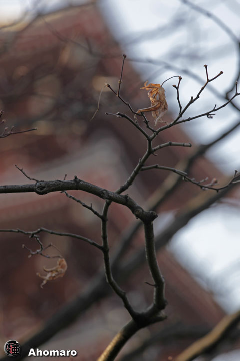 �ʐ^00