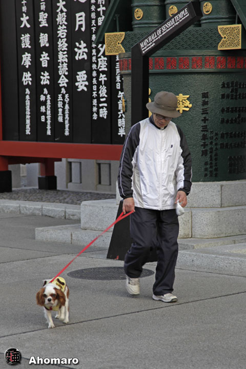 �ʐ^00