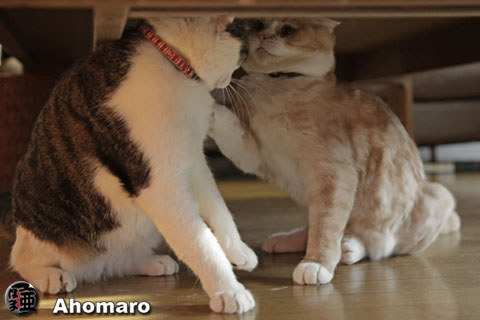 �ʐ^00