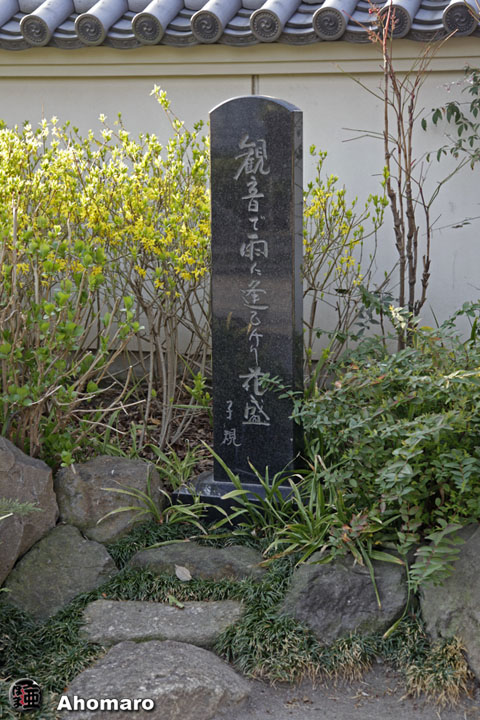 �ʐ^00