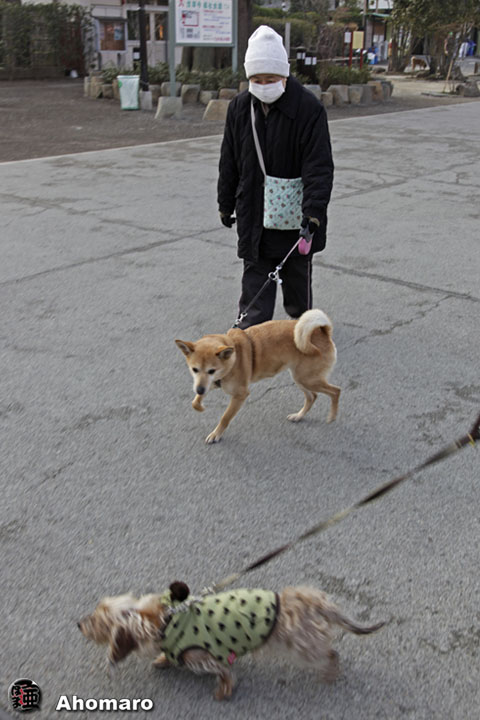 �ʐ^00