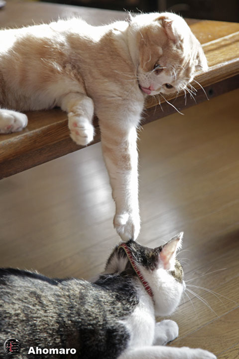 �ʐ^00