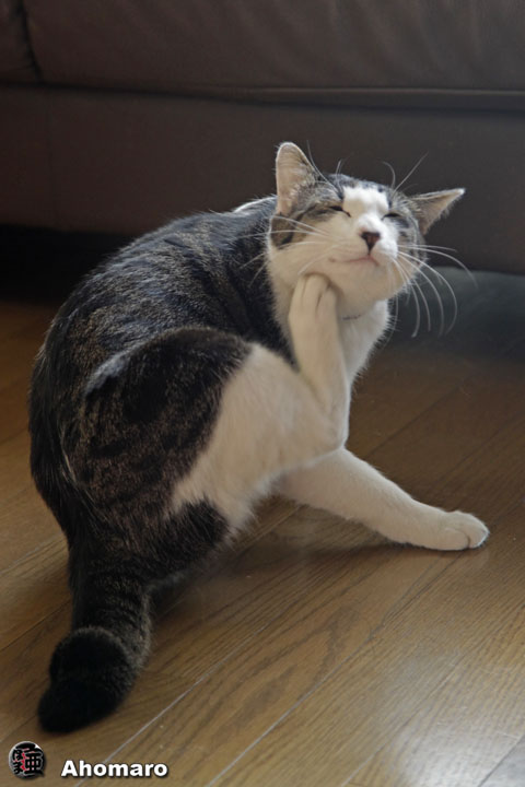 �ʐ^00
