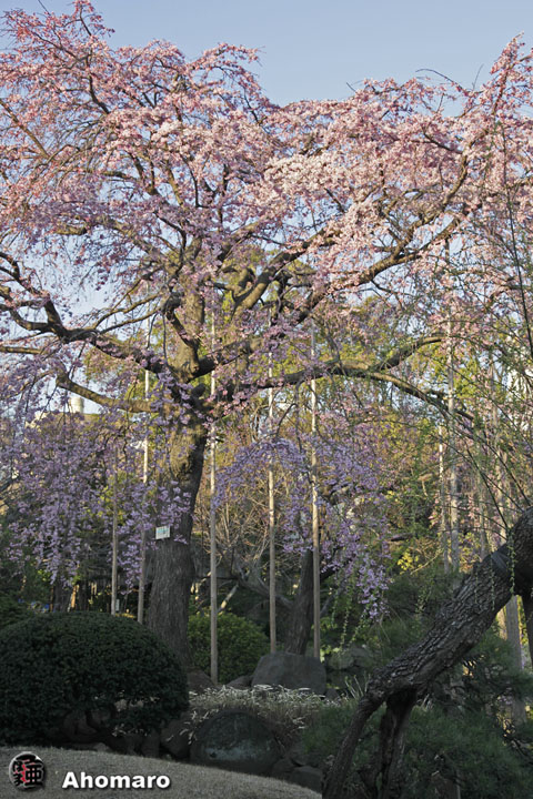 写真00