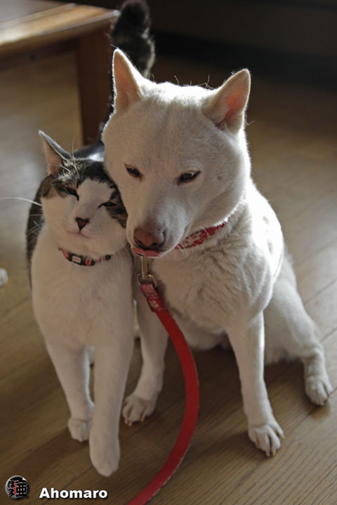 写真00