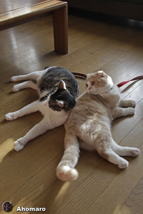 写真00