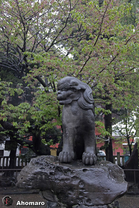 写真00