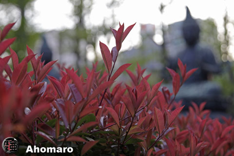 写真00