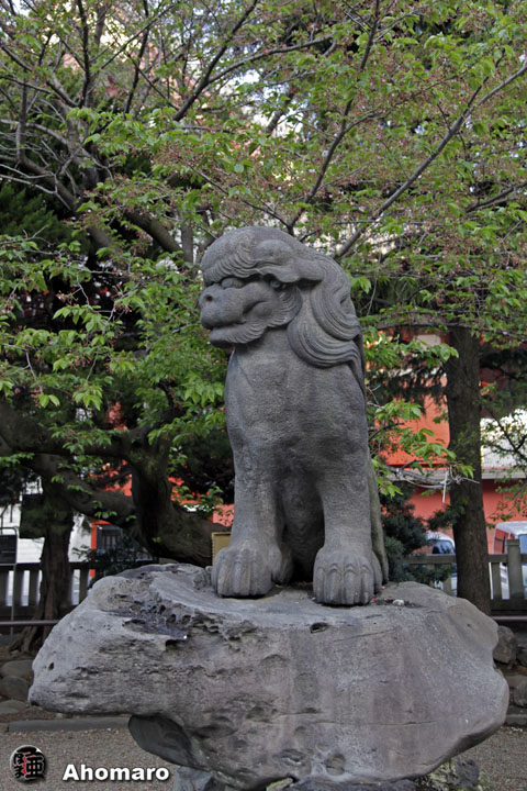 写真00