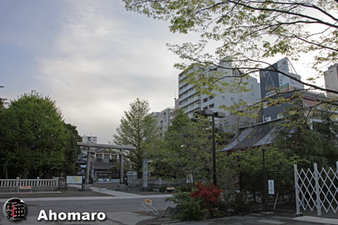 写真00