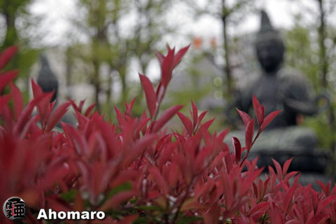 写真00