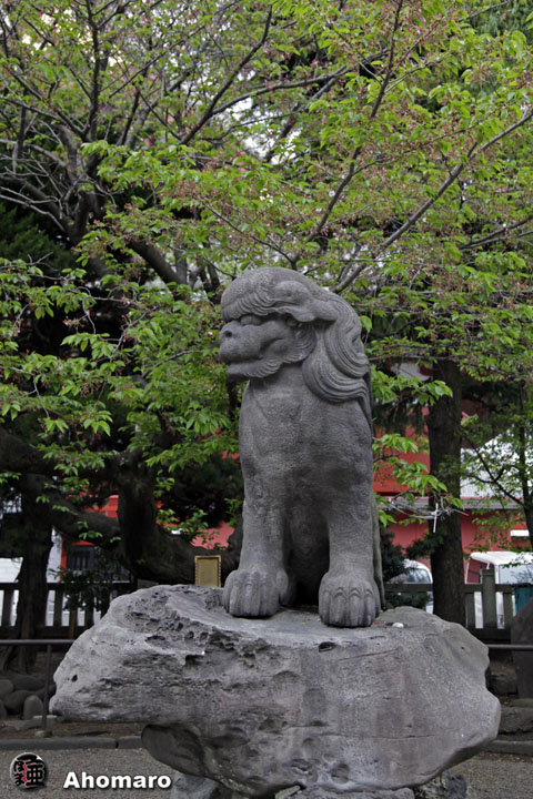 写真00