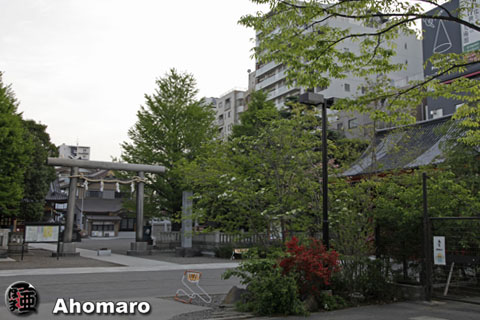 写真00