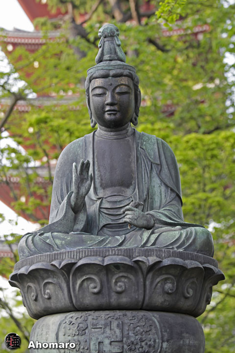 写真00