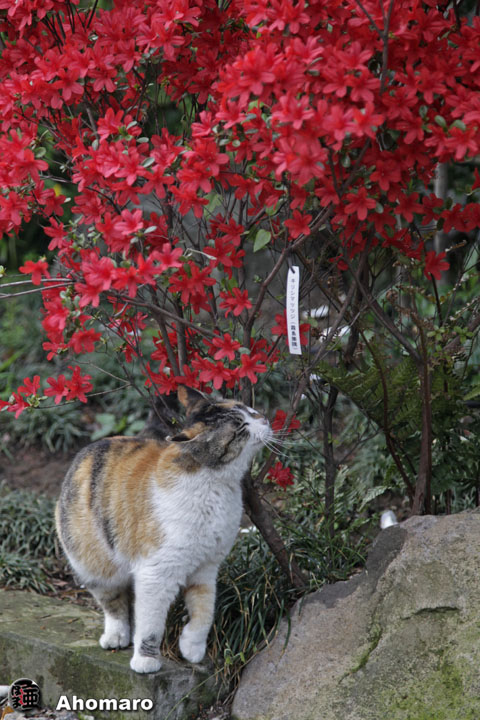 写真00