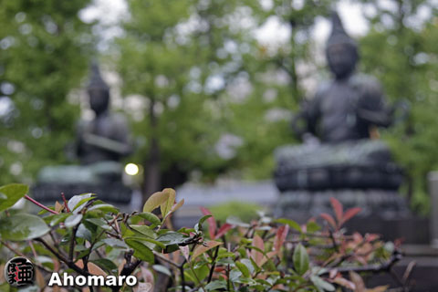 写真00