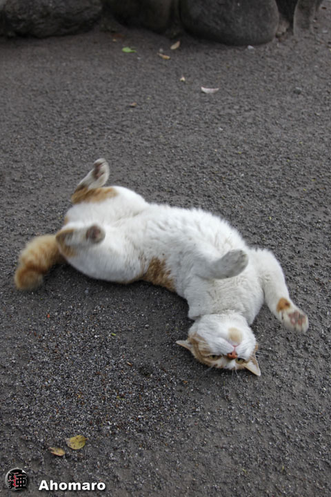 写真00