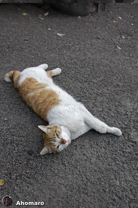 写真00