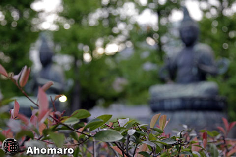 写真00