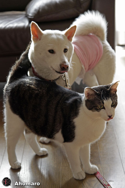 写真00