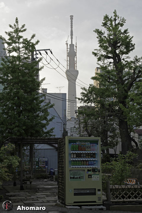 写真00