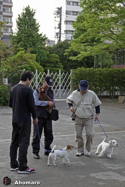 写真00