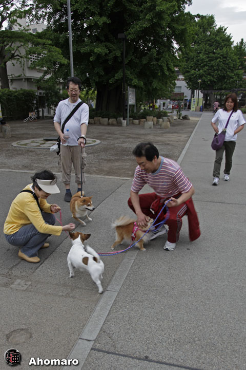 写真00