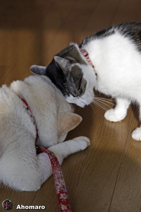 写真00