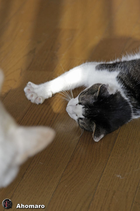 写真00