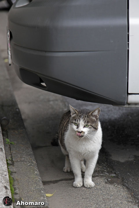 写真00