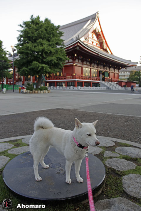 写真00