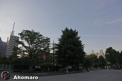 写真00