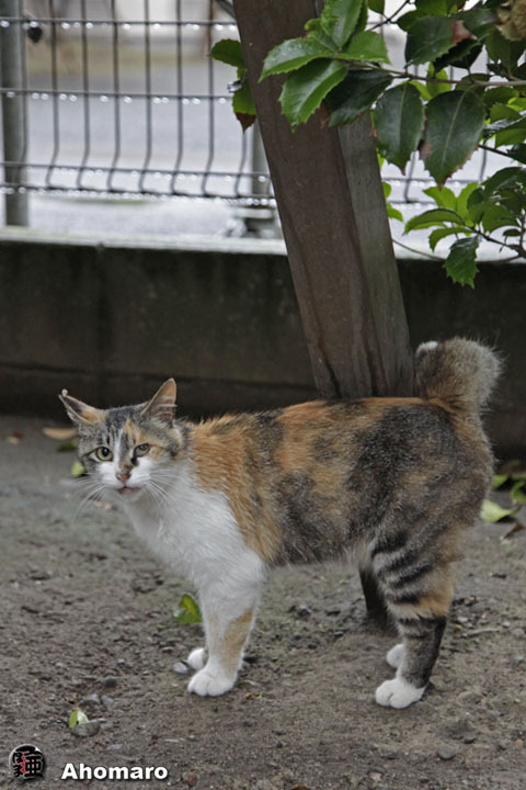 写真00