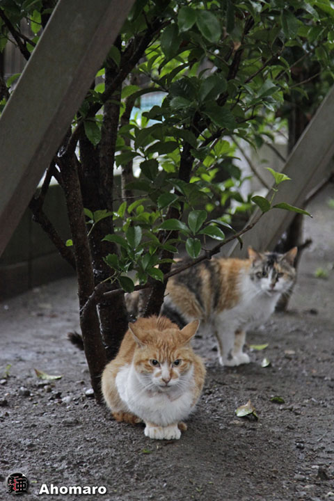 写真00