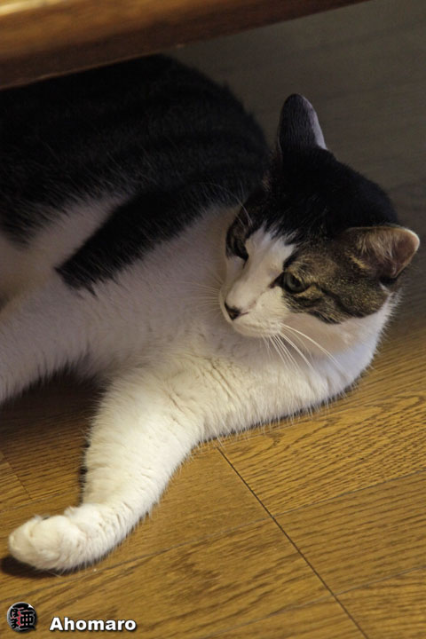 写真00