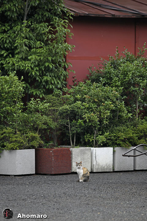 写真00
