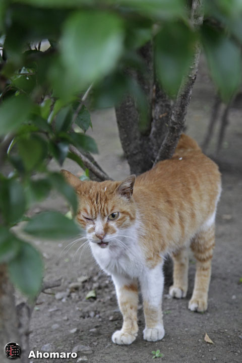 写真00