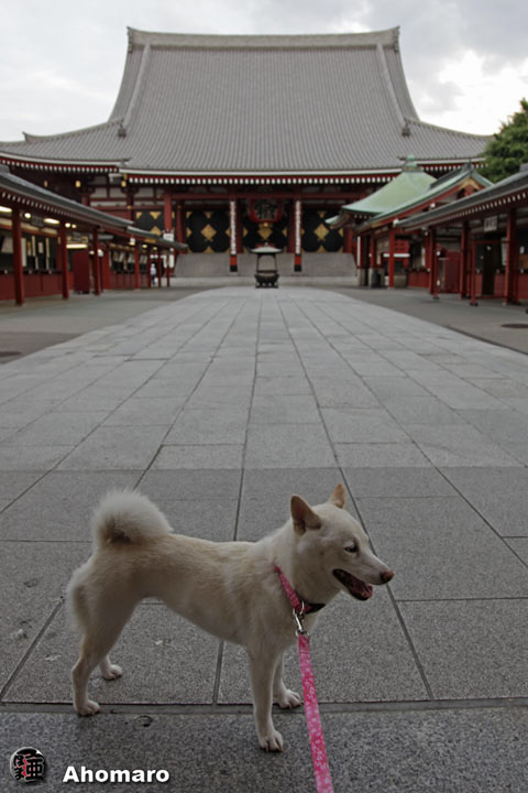 写真00