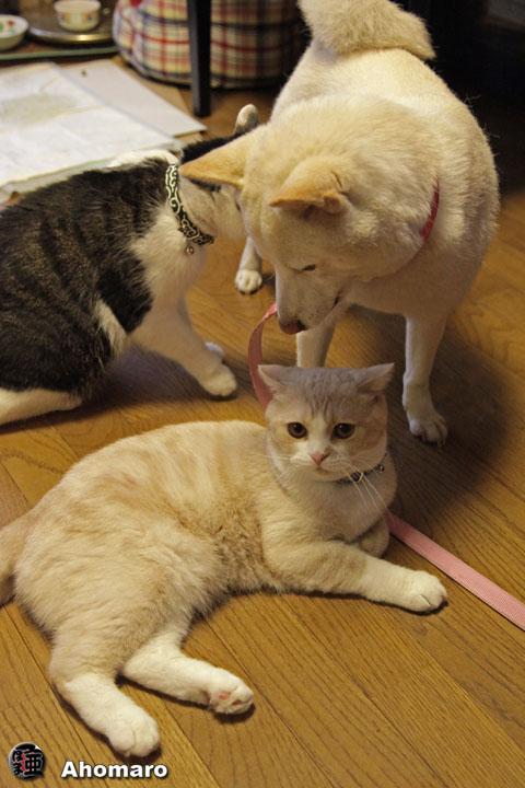 写真00