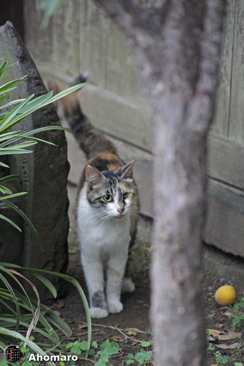 写真00