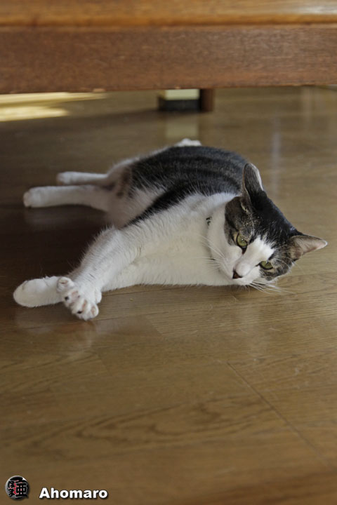 写真00