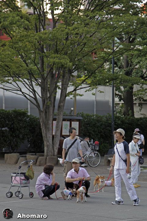 写真00