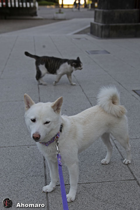 写真00