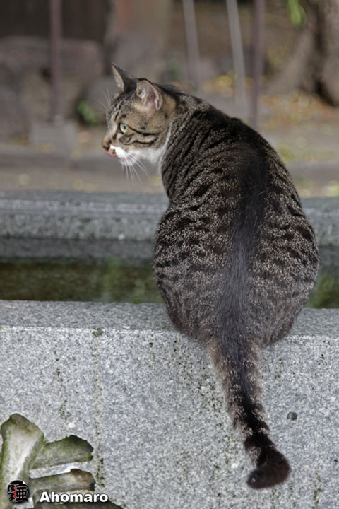 写真00