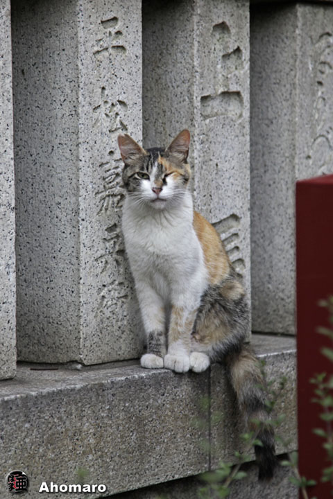 写真00