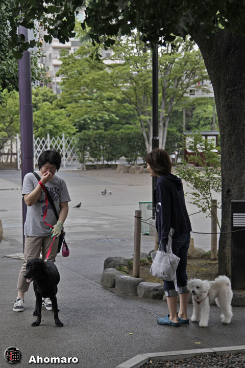写真00