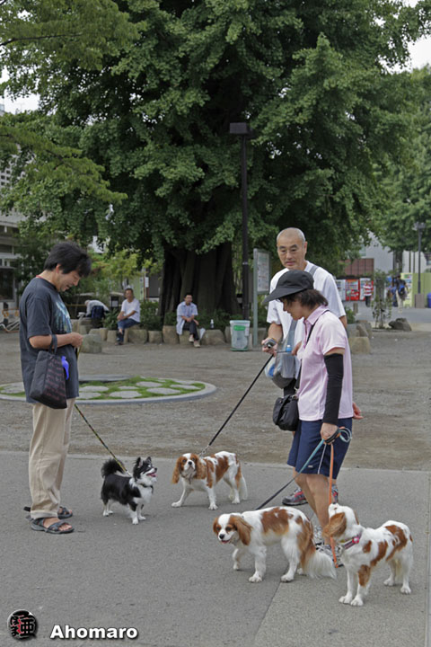 写真00