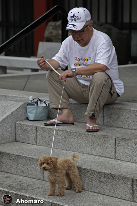 写真00