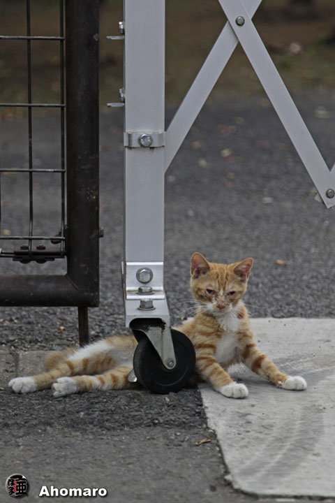 写真00