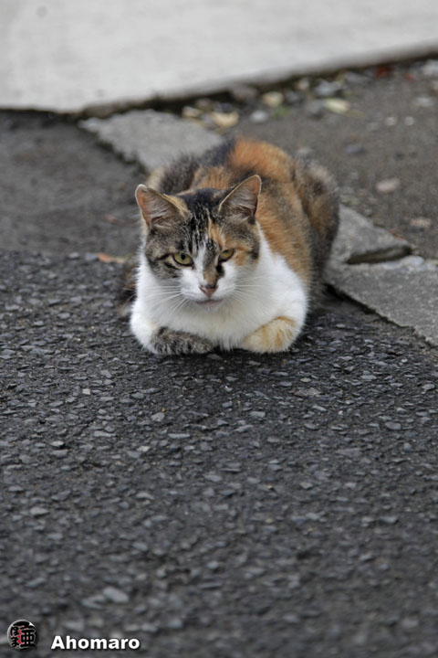 写真00